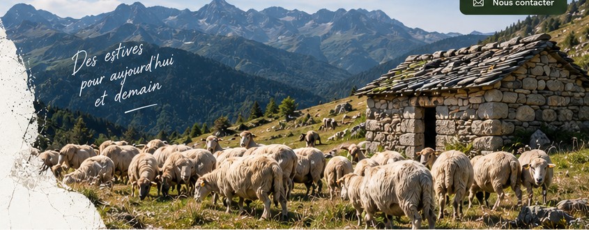 Illustration pastorale d'un troupeau ovin en montagne